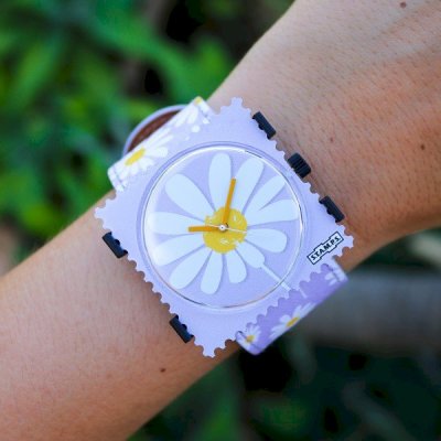 Coffret montre Viola